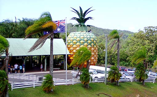 big pineapple